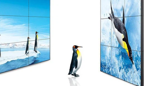 How To Start Using Digital Wall Displays?